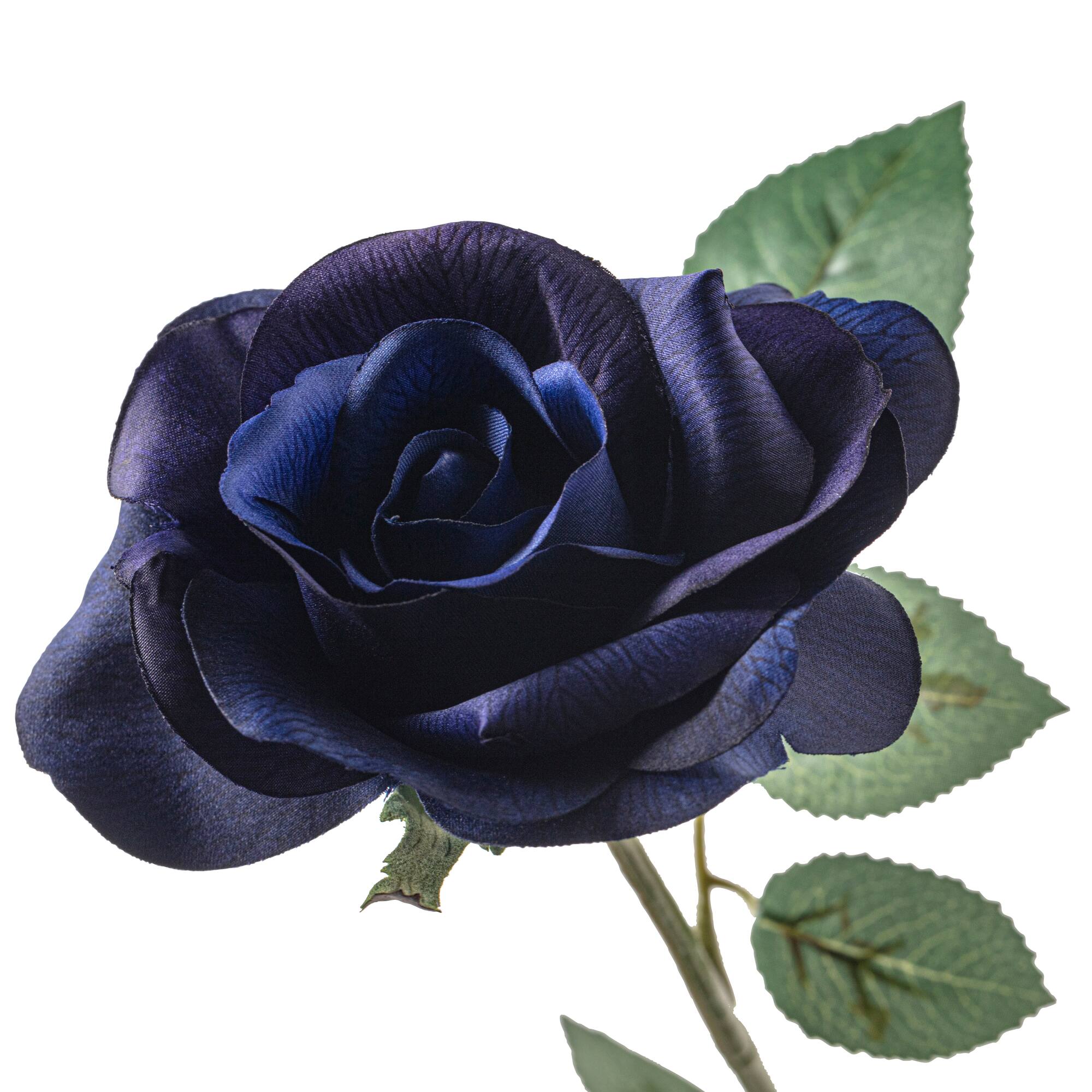 Navy Princess Rose Stem by Ashland®
